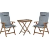 Beliani AMANTEA - Bistroset - Donkerhout/Grijs - Acaciahout