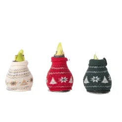 Kamerplanten-Plant in a Box Amaryllis - Set van 3 - Hippeastrum 'Christmas Sweater' - Bloembol - Rood