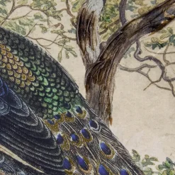 Schilderijen-Art for the Home Canvas Geschilderde Details Peacock in Paradise