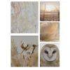 Art for the Home Natuur Canvas Set van 5 80x60 cm
