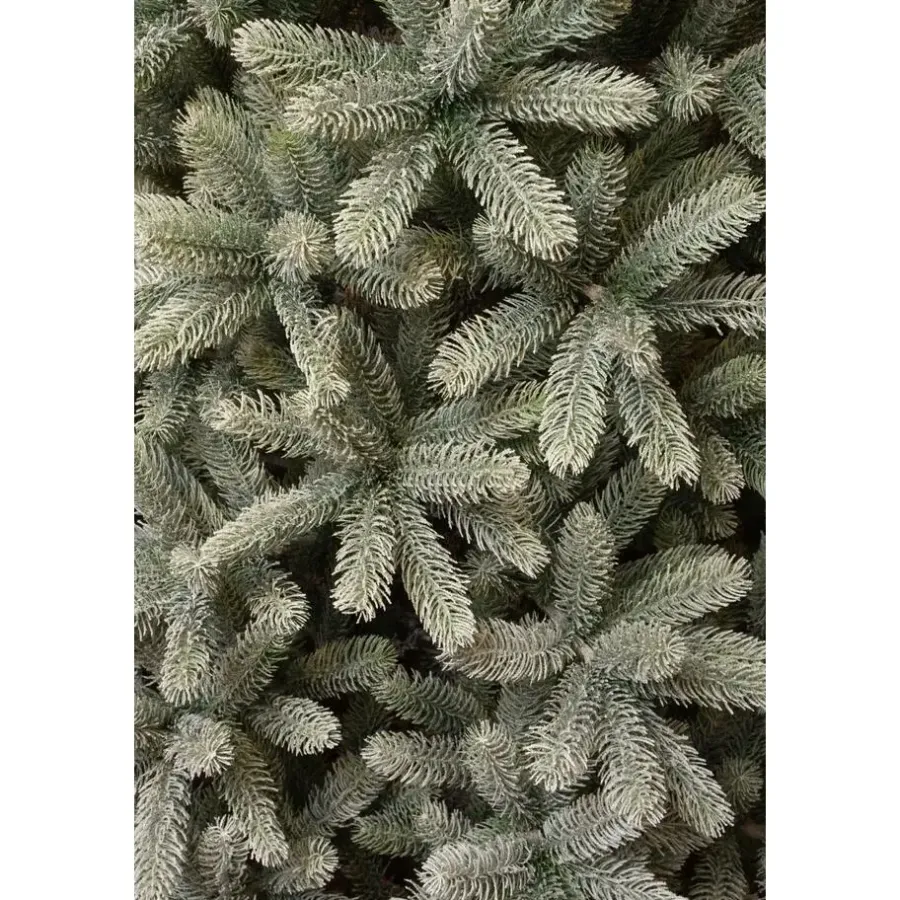 Kerstbomen-Black Box Trees Nagoya Kunstkerstboom - H210 x Ø115 cm - Groen Frosted