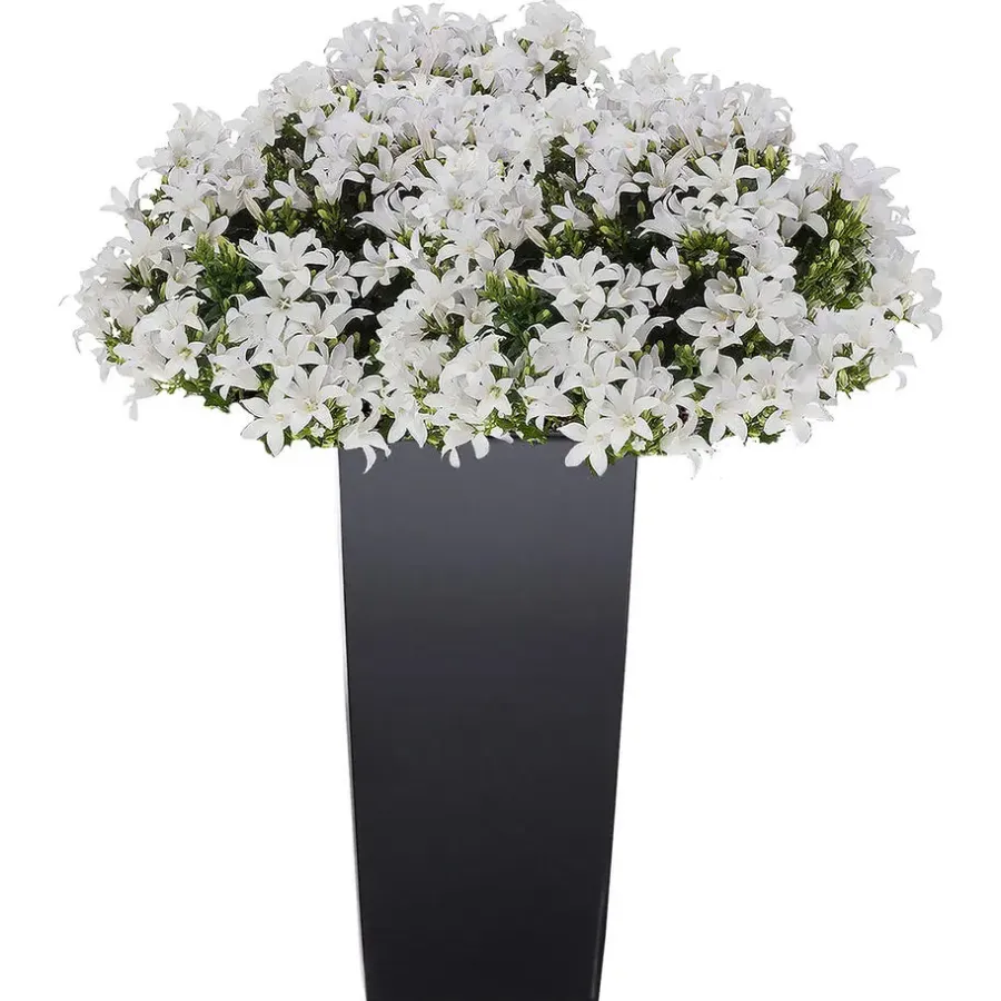 Bloempotten-Prosperplast Bloempot/plantenpot Urbi - antraciet - 24 x 24 x 45 cm