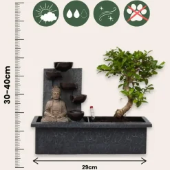 Plant in a Box Bonsai met Buddha - Set van 2 - Bonsai - Hoogte 25-35cm - ⌀29cm