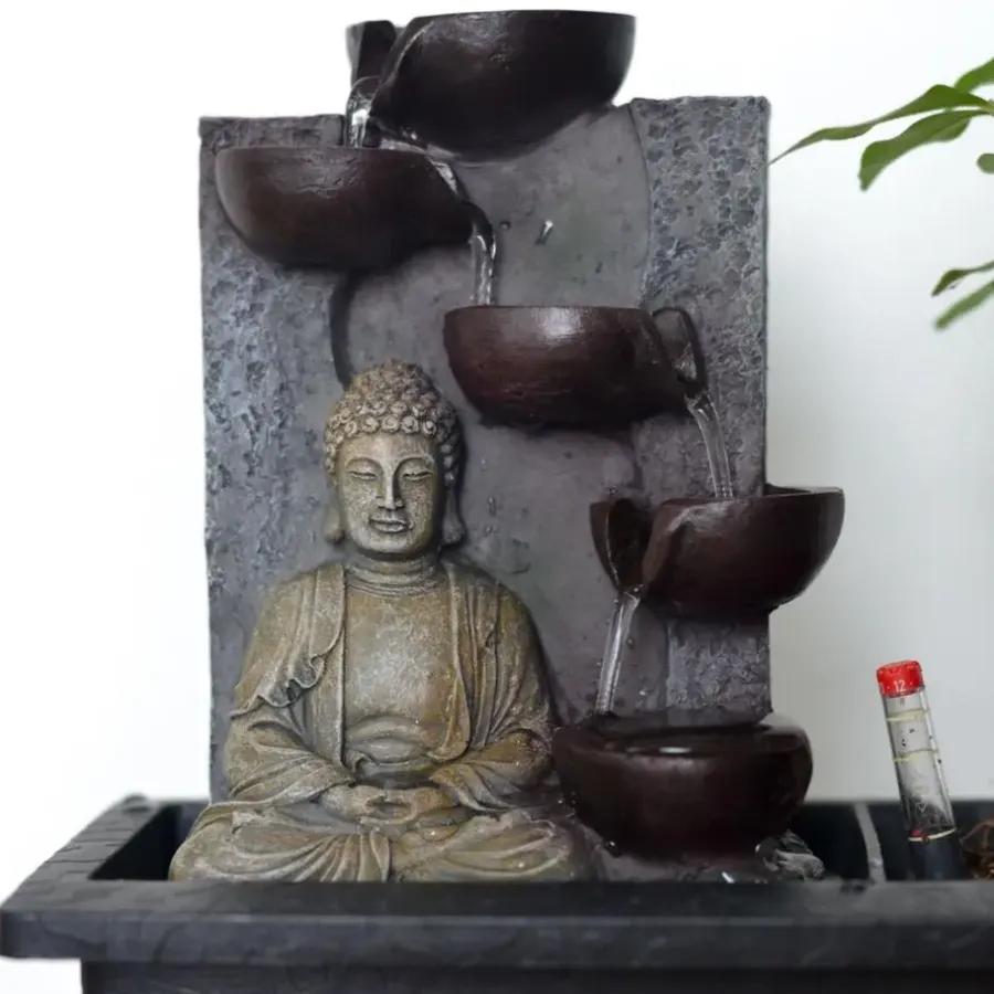 Plant in a Box Bonsai met Buddha - Set van 2 - Bonsai - Hoogte 25-35cm - ⌀29cm