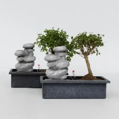 Plant in a Box Bonsai met waterval - Set van 2 - Bonsai - Hoogte 25-35cm - ⌀29cm