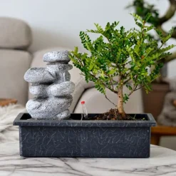Plant in a Box Bonsai met waterval - Set van 2 - Bonsai - Hoogte 25-35cm - ⌀29cm