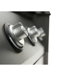 Barbecues En Accessoires-Boretti Forza gasbarbecue