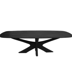 Houten Eettafels-Brix - Eetkamertafel Montreaux - Zwart - Mangohout - 220 cm