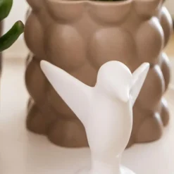 Kamerplanten-Plant in a Box Cadeauset orchidee 'White Tray XL' - Phalaenopsis - Hoogte 35cm