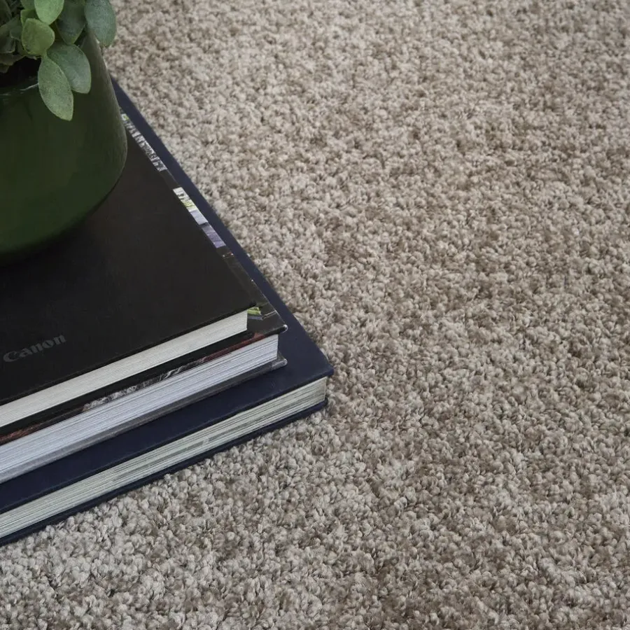 Carpet Studio Ohio Vloerkleed - Beige - 115x170cm
