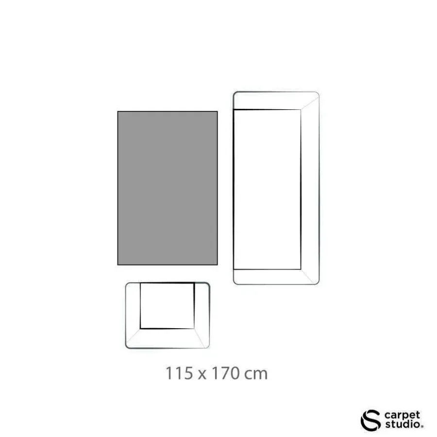 Carpet Studio Ohio Vloerkleed - Beige - 115x170cm