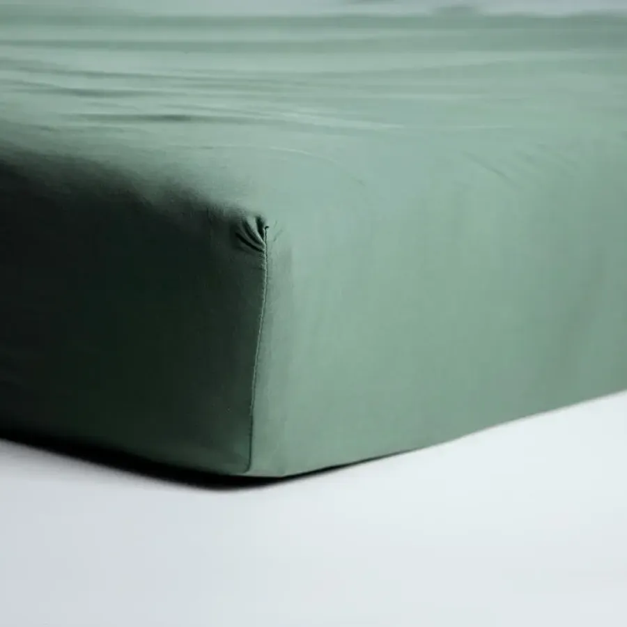 Cinderella - Hoeslaken (tot 25 cm) - Jersey - 160x210/220 - Green