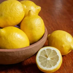 Plant in a Box Citroenboom - Set van 3 - Citrus limon - Hoogte 25-40cm - ⌀9cm
