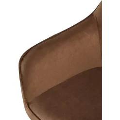 Eetkamerstoelen-CLP Eetkamerstoel Boise mat zwart Frame - Fluweel - bruin