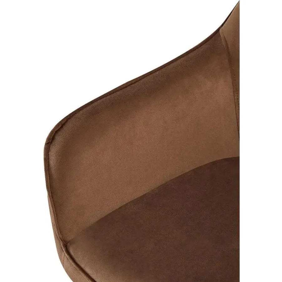 Eetkamerstoelen-CLP Eetkamerstoel Boise mat zwart Frame - Fluweel - bruin