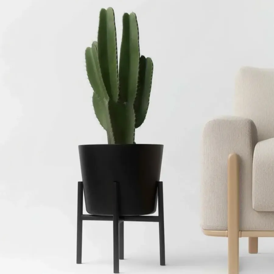 Kamerplanten-Plant in a Box Cowboycactus - Euphorbia ingens - Hoogte 85-95cm - ⌀24cm