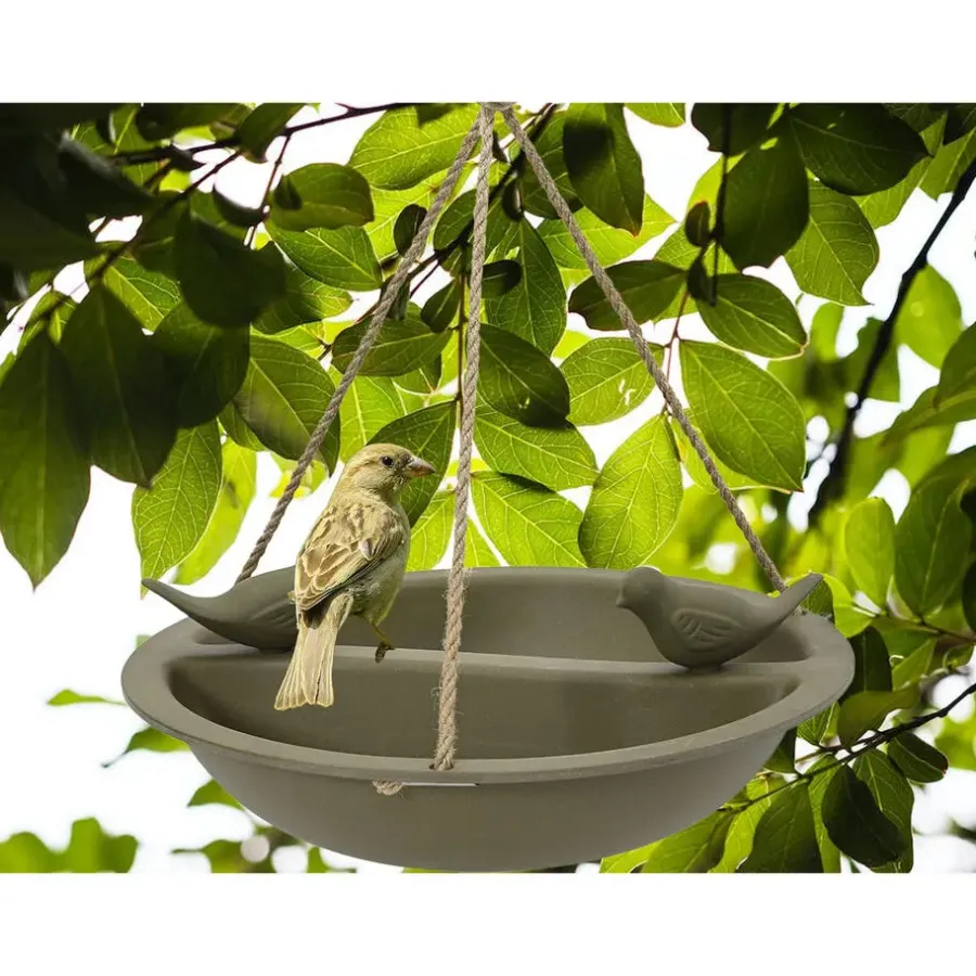 Tuindecoratie-Decoris Vogelbad - bamboe hout - donkergroen - drinkschaal - 27 cm