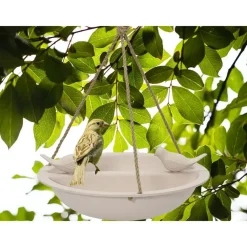 Decoris Vogelbad - bamboe hout - creme wit - drinkschaal - 27 cm