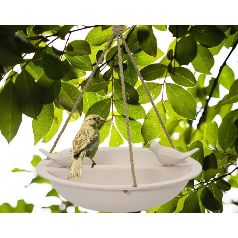 Decoris Vogelbad - bamboe hout - creme wit - drinkschaal - 27 cm