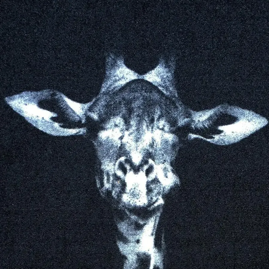 Deurmatten-Vica International Deurmat Wild Life Giraffe - 66x120 cm