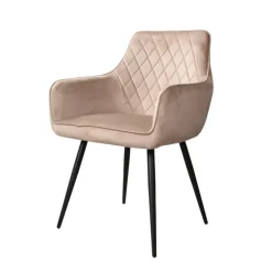 Eetkamerstoelen-DS4U - Ravi 3.0 eetkamerstoel velours - champagne