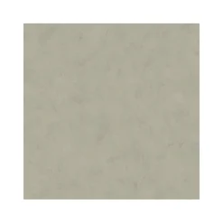 Dutch Wallcoverings - Palma uni donkerbeige - 0,53x10,05m