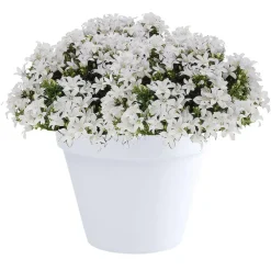 EDA Toscane Bloempot - kunststof - wit - D40 x H32 cm