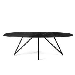Ovale Eettafels-Giga Living Eettafel Zwart Acaciahout - Ovaal - 240x110x76cm - Langford
