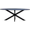 Ovale Eettafels-Giga Meubel Eettafel Zwart Fenix Metaal - 200x90x76cm - Harper