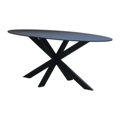 Ovale Eettafels-Giga Meubel Eettafel Zwart Fenix Metaal - 200x90x76cm - Harper