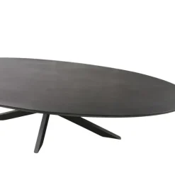 Industriële Eettafels-StarFurn Eettafel Zwart Hout/Metaal - 210x100x76cm - Brandy
