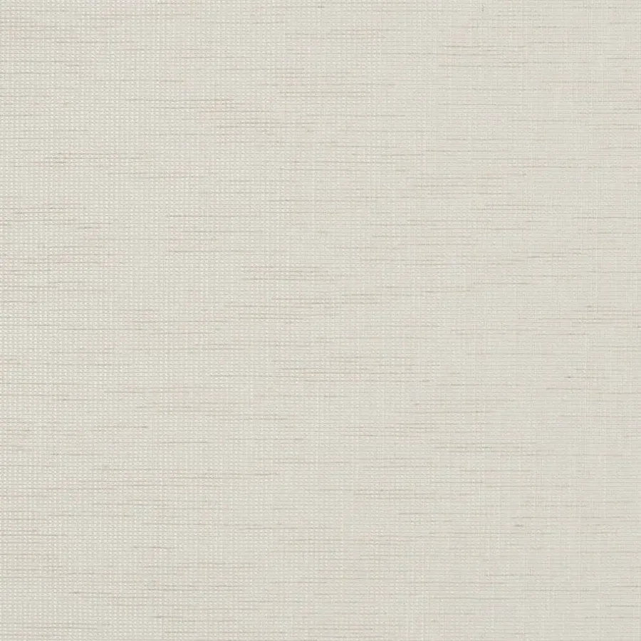 Rolgordijnen Op Maat-Fenstr rolgordijn Prato transparant - beige (25019)