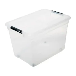 Opbergboxen-5five Opbergkist met deksel - Box - 80L - 67x47x36 cm