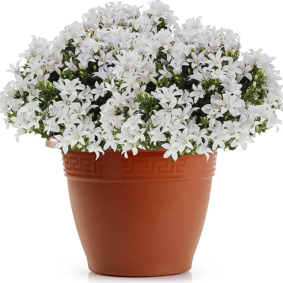 Bloempotten-Forte Plastics Bloempot - terracotta - kunststof - 50 cm