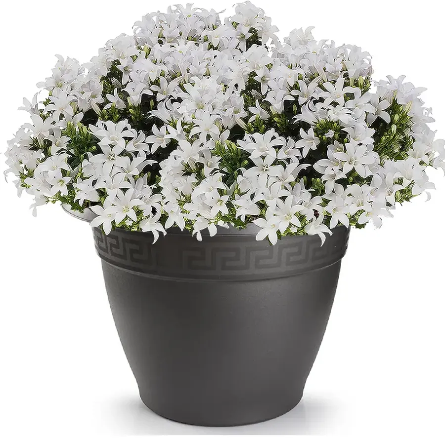 Forte Plastics Bloempot - antraciet - rond - kunststof - 60 cm
