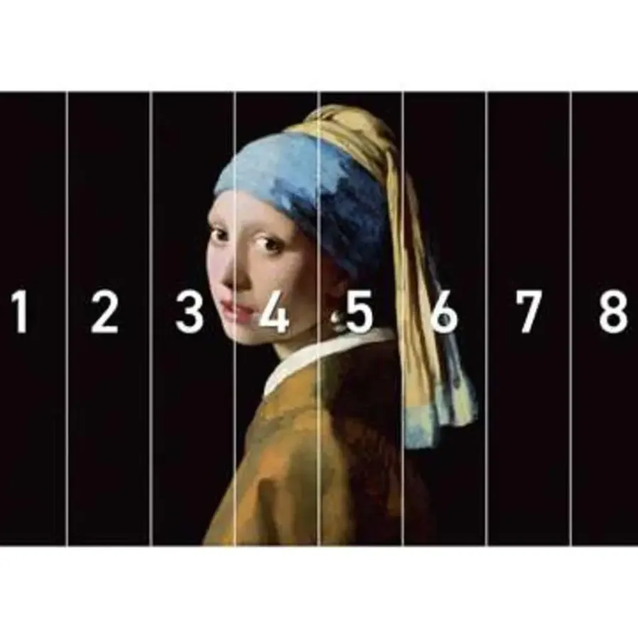 Behang-Reinders Fotobehang Vermeer Meisje met de parel - 260 x 384cm - Zwart