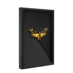 Fotolijsten-Merkloos Fotokader in 3D - Box Frame - Fotolijst - 6 cm diep - MDF - 40x60cm - Zwart