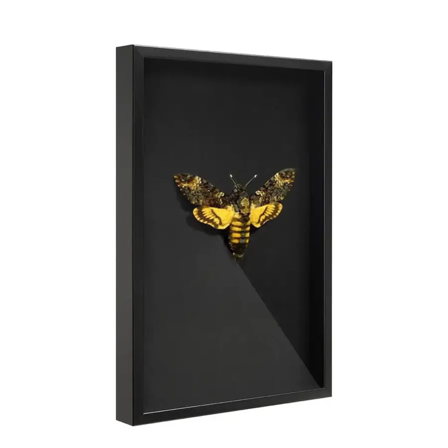 Fotolijsten-Merkloos Fotokader in 3D - Box Frame - Fotolijst - 6 cm diep - MDF - 40x60cm - Zwart