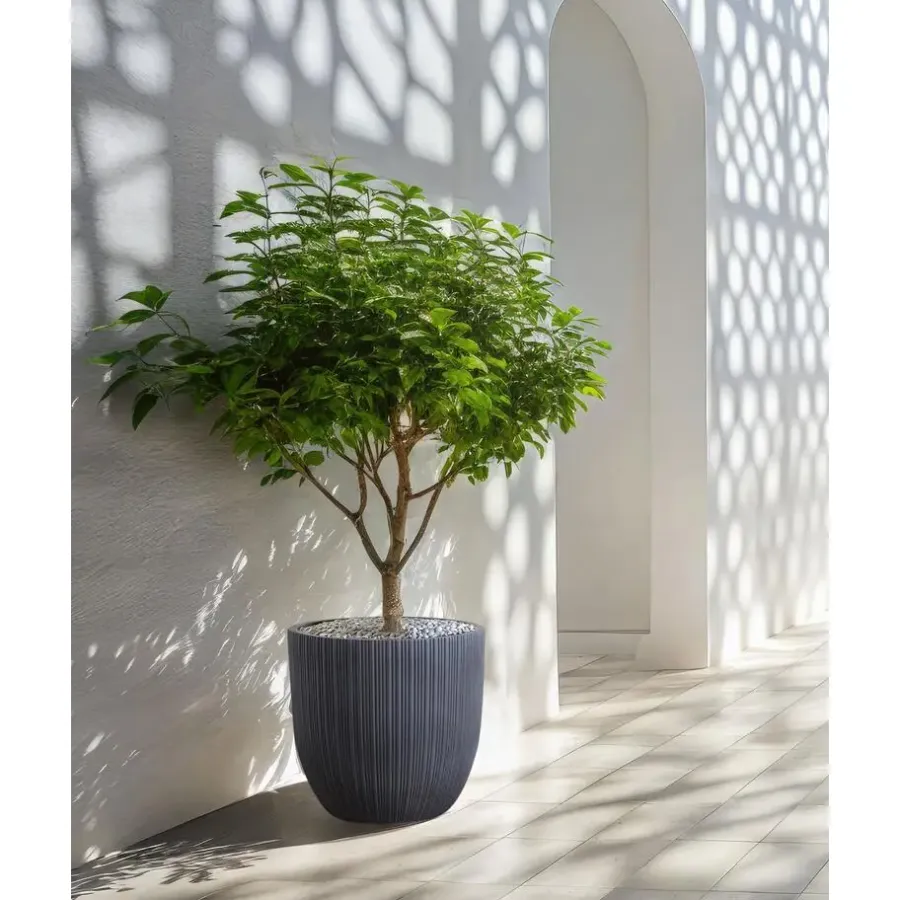 Bloempotten-Leen Bakker FRAXINUS - Bloempot - Grafietgrijs - MgO