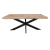 Furndea Devi eettafel boomstam mangohout 160x90x76
