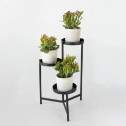 Kamerplanten-Plant in a Box Geldboom - Mix van 3 - Crassula Minor, Hobbit, Sunset - Hoogte 10-25cm - ø12cm