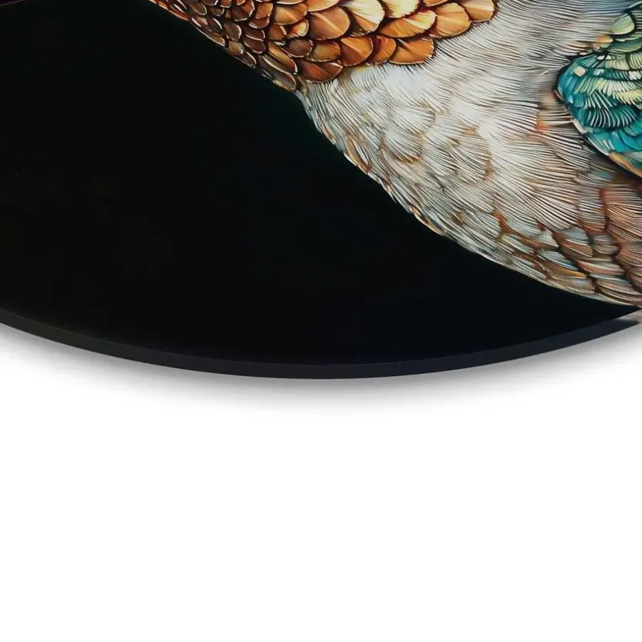 Schilderijen-Reinders Glasschilderij Kolibrie met bloemenkroon - Ø 50cm - Bont