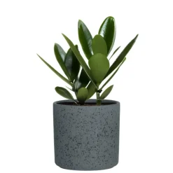 Hakbijl Glass Hakbijl Plantenpot/bloempot Cindy - keramiek - D17 x H17 cm