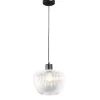 Leen Bakker Hanglamp Yosemite - helder/mat zwart - Ø25x120 cm