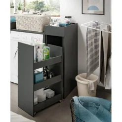 Hoge Kasten-Merkloos Hioshop Free badkamerkast 1 lade- 3 planken antraciet