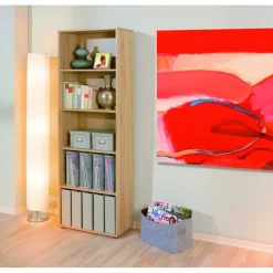 Wandkasten-Hioshop Parim wandkast 5 ruimtes Sonoma eiken decor