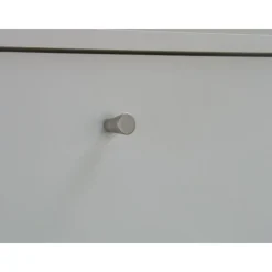 Schoenenkasten-Hioshop Schoenenkast wit mat 75x148x17 cm Escape