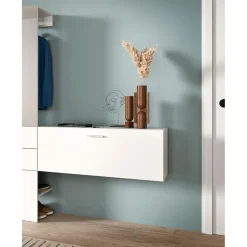 Schoenenkasten-Hioshop Vaga schoenenkast wandgemonteerd 104x39cm 1 klepdeur wit