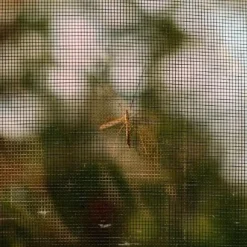 Raam En Deurhorren-HIXA Raamhor 130x150 anti-insect 3 stuks