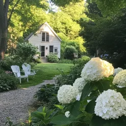 Planten|Tuinplanten-Plant in a Box Hortensia - Hydrangea 'Strong Annabelle' - Hoogte 30-40cm - ⌀19cm